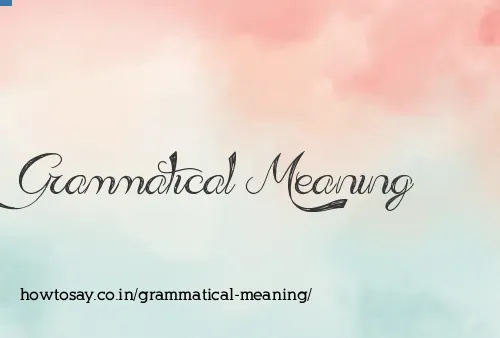 Grammatical Meaning