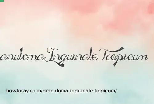Granuloma Inguinale Tropicum
