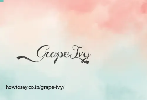 Grape Ivy