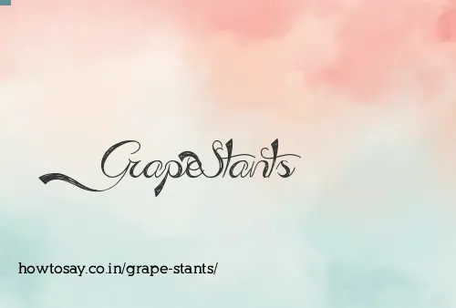 Grape Stants