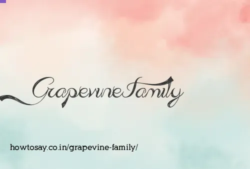 Grapevine Family