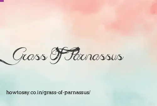 Grass Of Parnassus