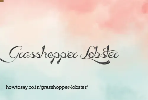 Grasshopper Lobster