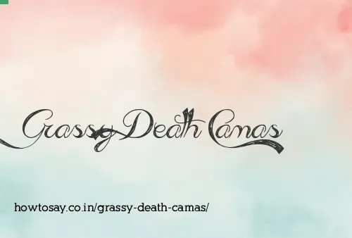 Grassy Death Camas