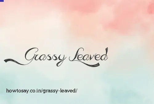 Grassy Leaved