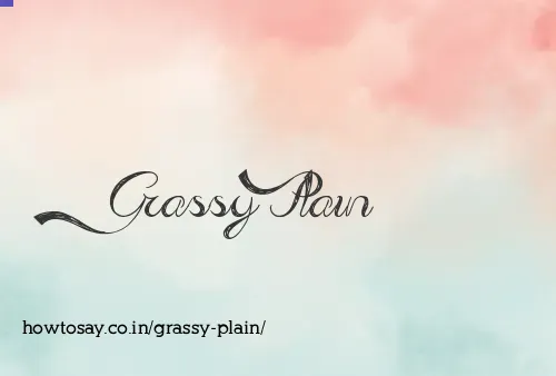 Grassy Plain