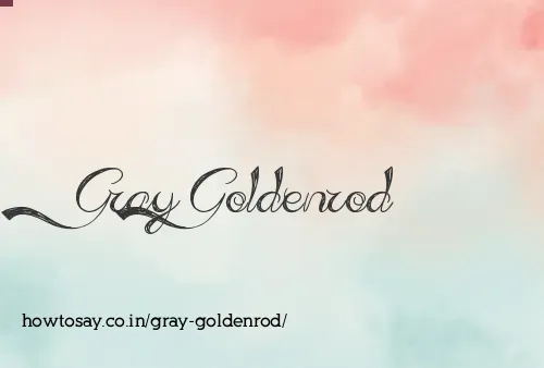Gray Goldenrod
