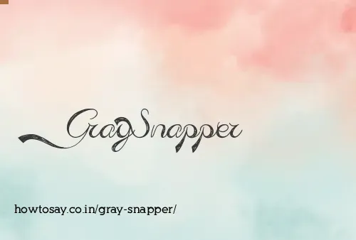 Gray Snapper