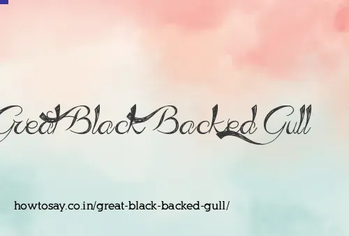 Great Black Backed Gull