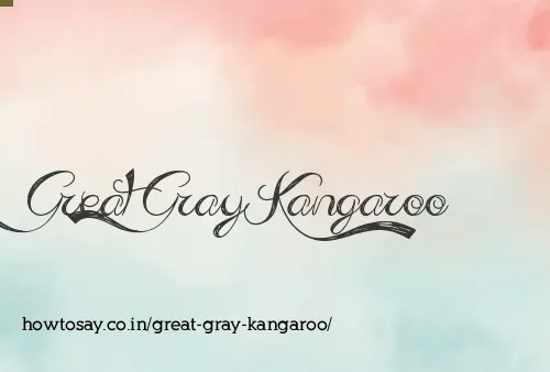 Great Gray Kangaroo