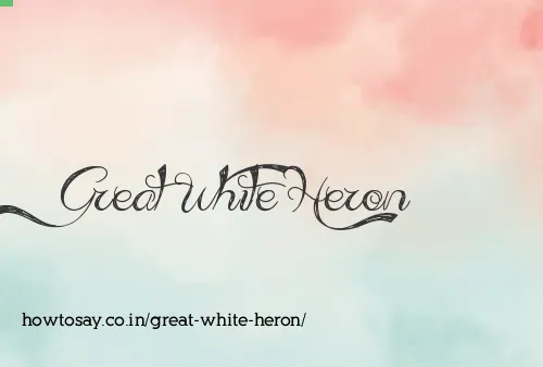 Great White Heron
