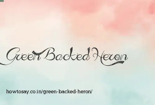 Green Backed Heron