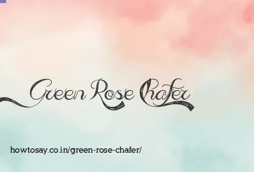 Green Rose Chafer