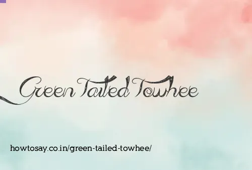 Green Tailed Towhee