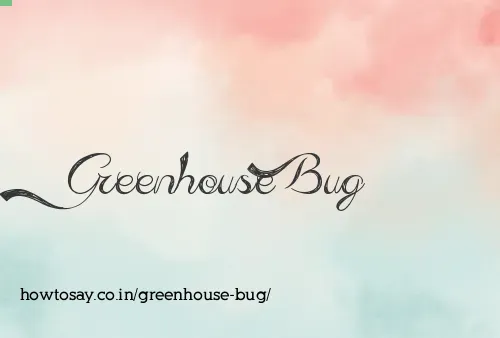 Greenhouse Bug
