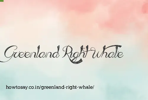 Greenland Right Whale