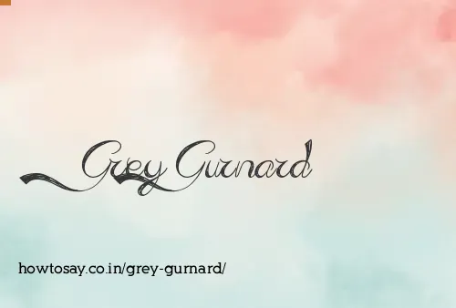Grey Gurnard