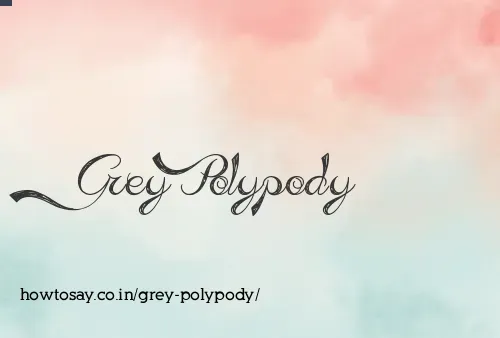 Grey Polypody