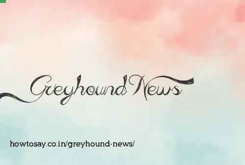 Greyhound News