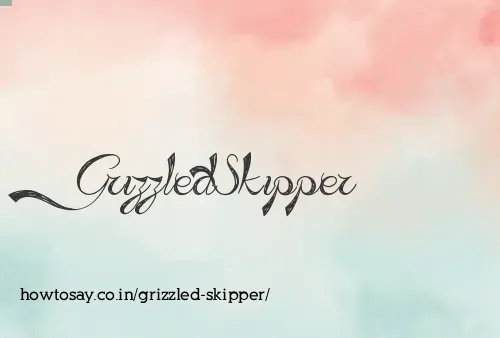 Grizzled Skipper