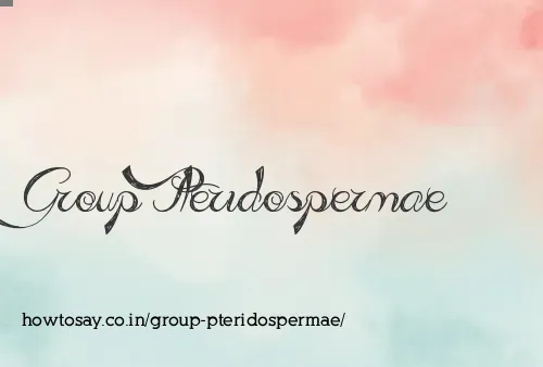 Group Pteridospermae