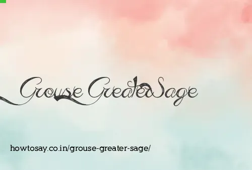 Grouse Greater Sage