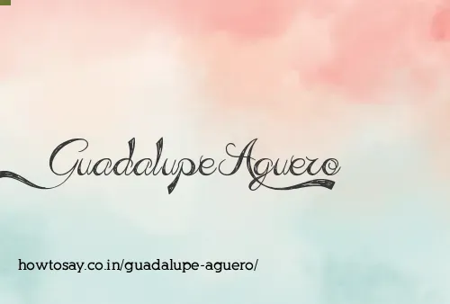 Guadalupe Aguero