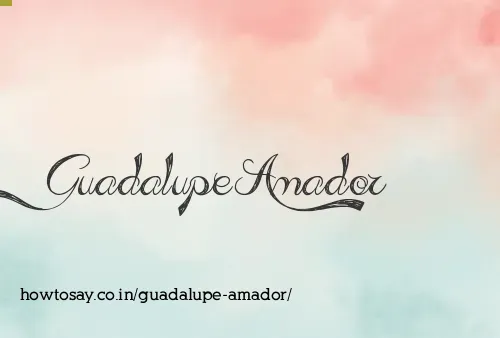 Guadalupe Amador
