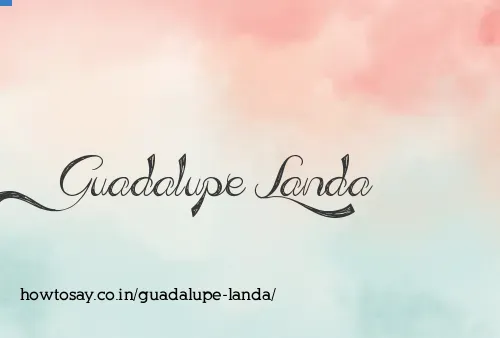 Guadalupe Landa