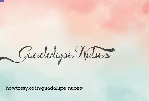 Guadalupe Nubes
