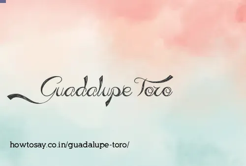 Guadalupe Toro