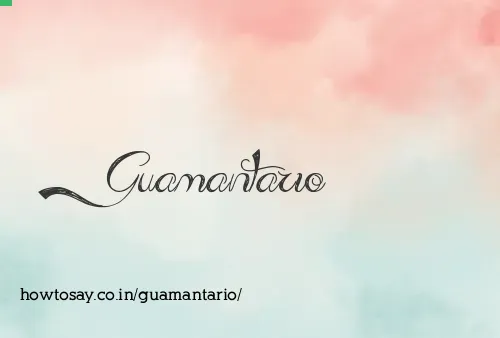 Guamantario
