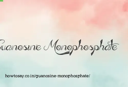 Guanosine Monophosphate