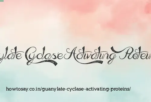 Guanylate Cyclase Activating Proteins