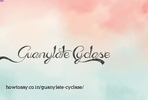 Guanylate Cyclase