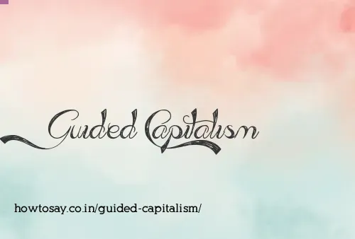 Guided Capitalism