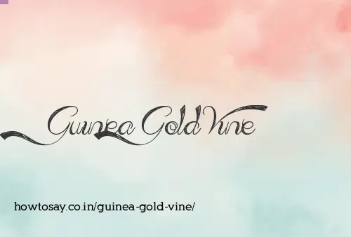 Guinea Gold Vine