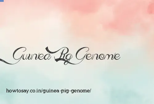 Guinea Pig Genome