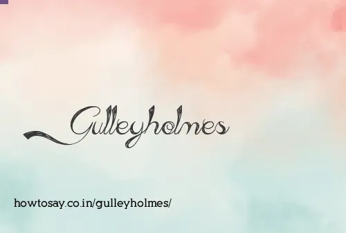 Gulleyholmes