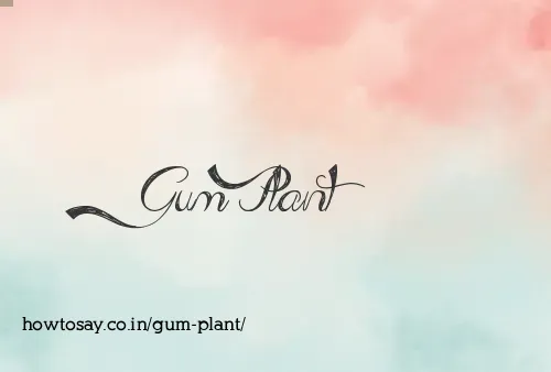 Gum Plant