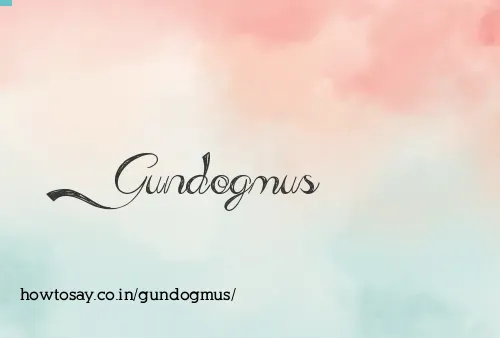 Gundogmus