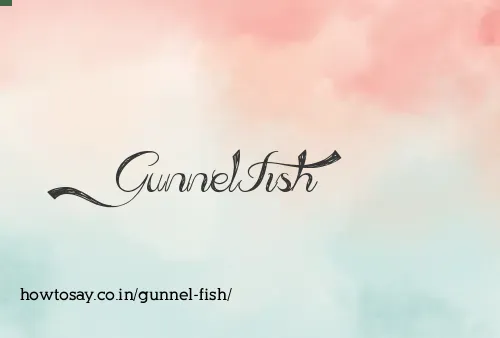 Gunnel Fish