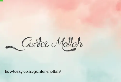 Gunter Mollah