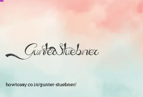 Gunter Stuebner