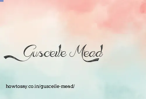 Gusceile Mead