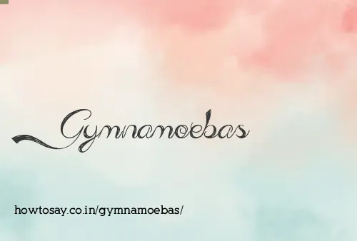 Gymnamoebas