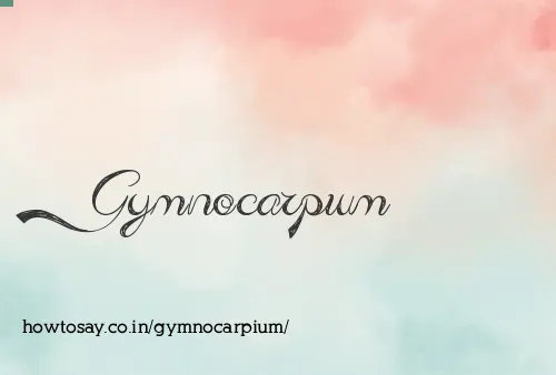Gymnocarpium