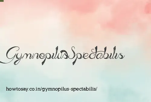 Gymnopilus Spectabilis