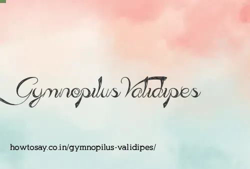 Gymnopilus Validipes