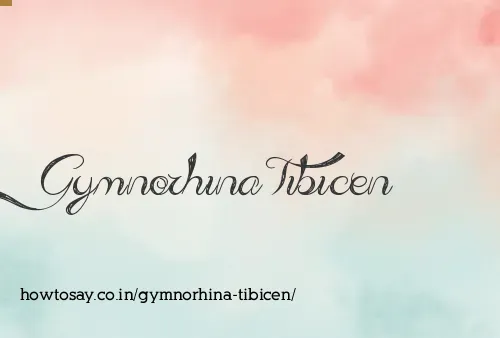 Gymnorhina Tibicen